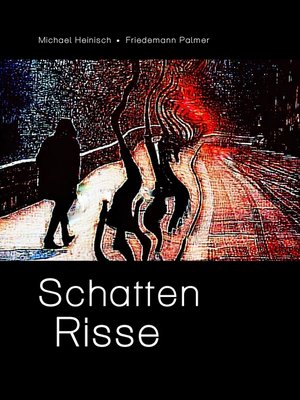 cover image of Schatten Risse